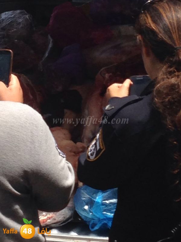 lo7oom lud 0527 (6).JPG